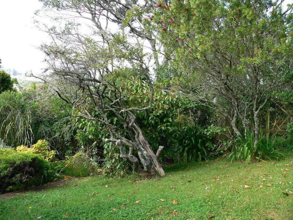 Mount Hobson Apartments Auckland Dış mekan fotoğraf
