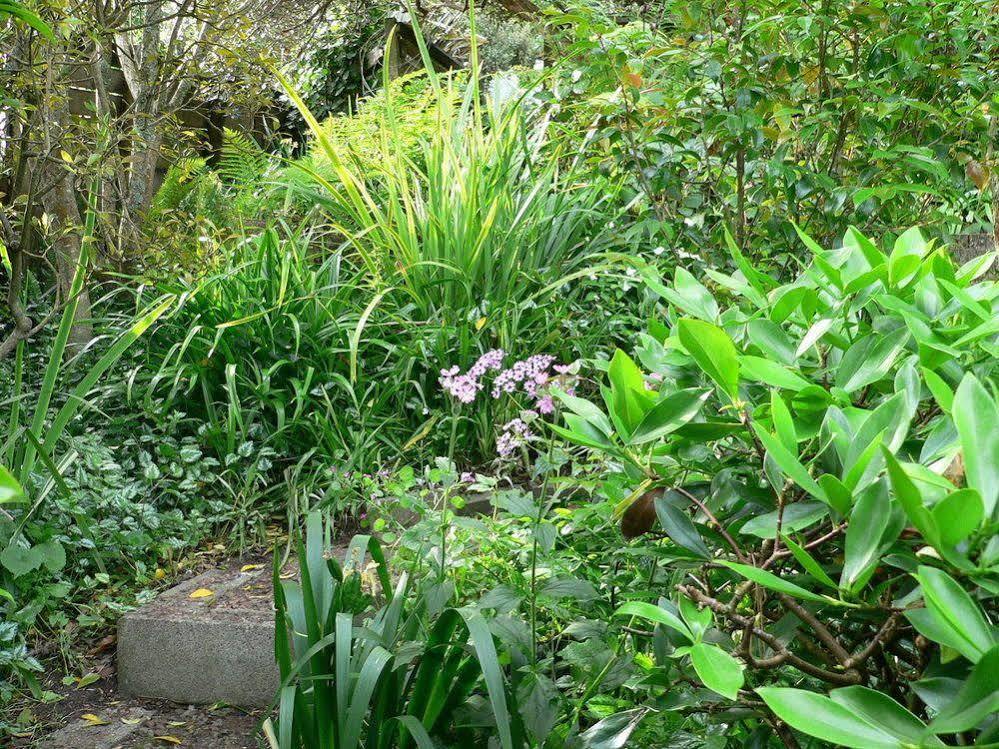 Mount Hobson Apartments Auckland Dış mekan fotoğraf